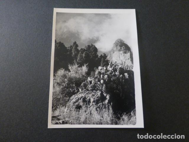 Photographie ancienne: CALDERA DE TABURIENTE ISLA DE LA PALMA ANTIGUA FOTOGRAFIA 7,5 X 10,5 CMTS