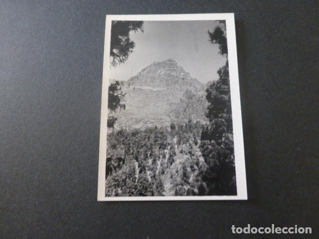 Photographie ancienne: CALDERA DE TABURIENTE ISLA DE LA PALMA ANTIGUA FOTOGRAFIA 7,5 X 10,5 CMTS