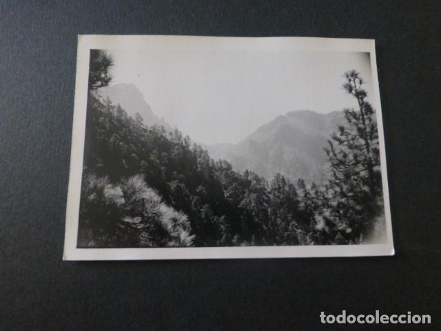 Photographie ancienne: CALDERA DE TABURIENTE ISLA DE LA PALMA ANTIGUA FOTOGRAFIA 7,5 X 10,5 CMTS