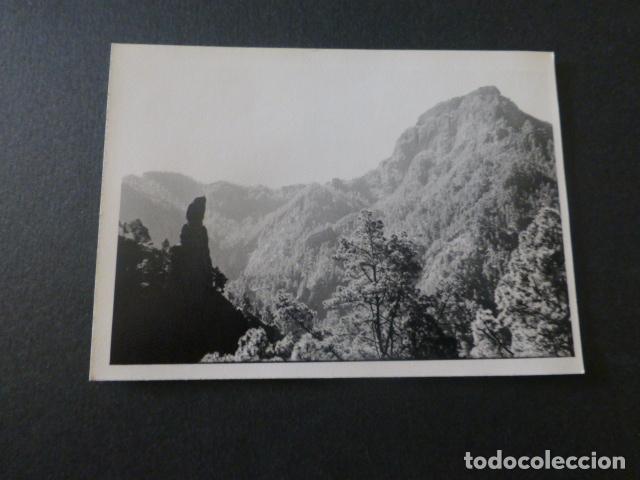 Photographie ancienne: CALDERA DE TABURIENTE SUBIDA AL REVENTON ISLA DE LA PALMA ANTIGUA FOTOGRAFIA 7,5 X 10,5 CMTS