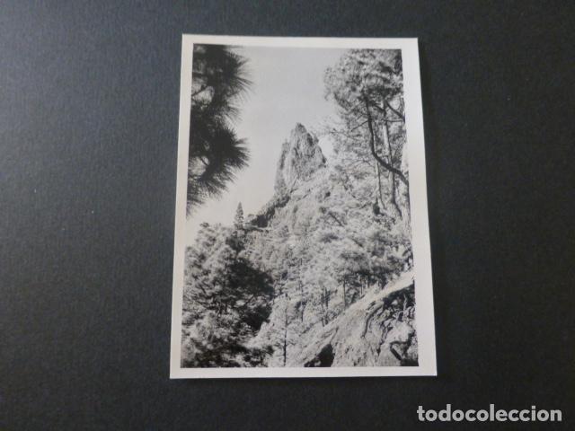 Photographie ancienne: CALDERA DE TABURIENTE ISLA DE LA PALMA ANTIGUA FOTOGRAFIA 7,5 X 10,5 CMTS