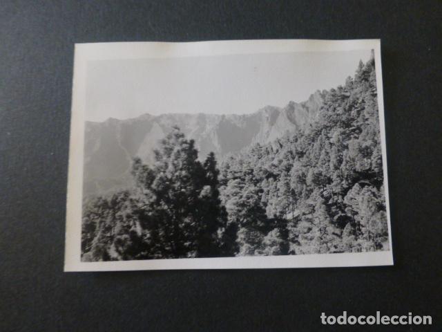 Photographie ancienne: CALDERA DE TABURIENTE ISLA DE LA PALMA ANTIGUA FOTOGRAFIA 7,5 X 10,5 CMTS