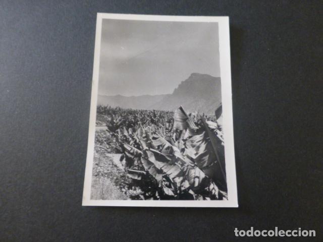Photographie ancienne: LAS MANCHAS ISLA DE LA PALMA ANTIGUA FOTOGRAFIA 7,5 X 10,5 CMTS
