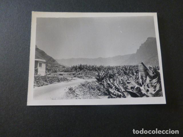 Photographie ancienne: CALDERA DE TABURIENTE ISLA DE LA PALMA ANTIGUA FOTOGRAFIA 7,5 X 10,5 CMTS