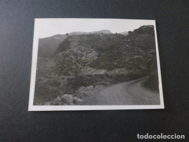 Photographie ancienne: LOS SAUCES ISLA DE LA PALMA ANTIGUA FOTOGRAFIA 7,5 X 10,5 CMTS
