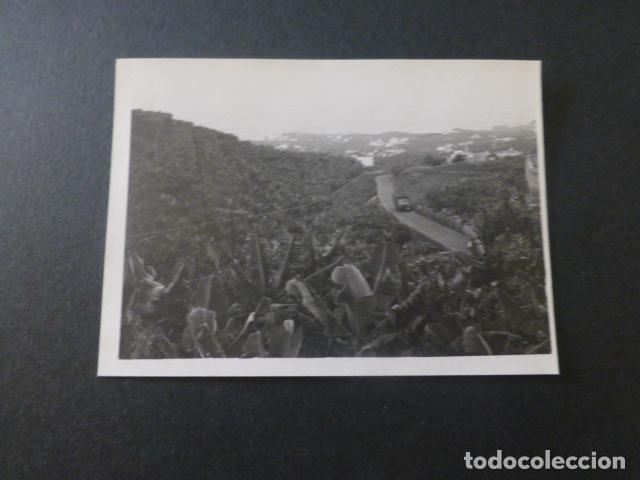 Photographie ancienne: LOS SAUCES ISLA DE LA PALMA ANTIGUA FOTOGRAFIA 7,5 X 10,5 CMTS
