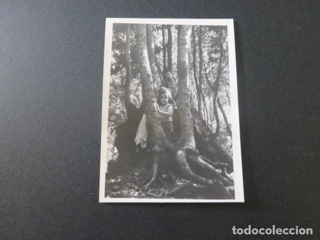 Photographie ancienne: LOS TILOS ISLA DE LA PALMA ANTIGUA FOTOGRAFIA 7,5 X 10,5 CMTS