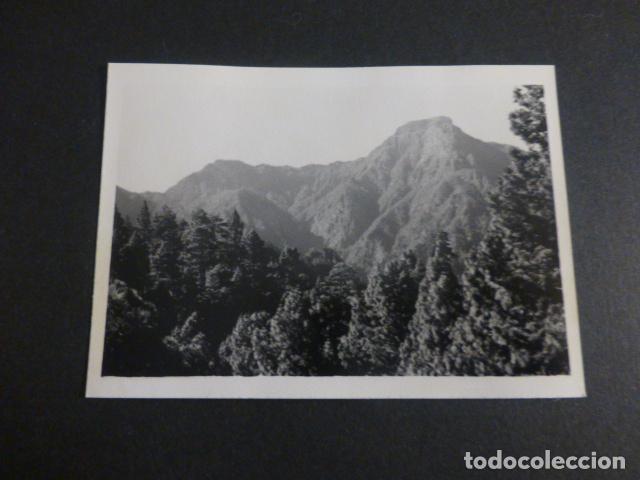 Alte Fotografie: ISLA DE LA PALMA CALDERA DE TABURIENTE ANTIGUA FOTOGRAFIA 7,5 X 10,5 CMTS