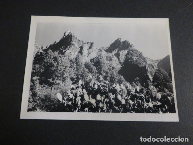 Antique Photography: ISLA DE LA PALMA CALDERA DE TABURIENTE ANTIGUA FOTOGRAFIA 7,5 X 10,5 CMTS