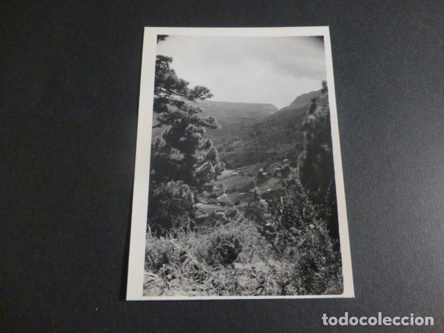 Fotografia antiga: ISLA DE LA PALMA HACIENDA DEL CURA ANTIGUA FOTOGRAFIA 7,5 X 10,5 CMTS
