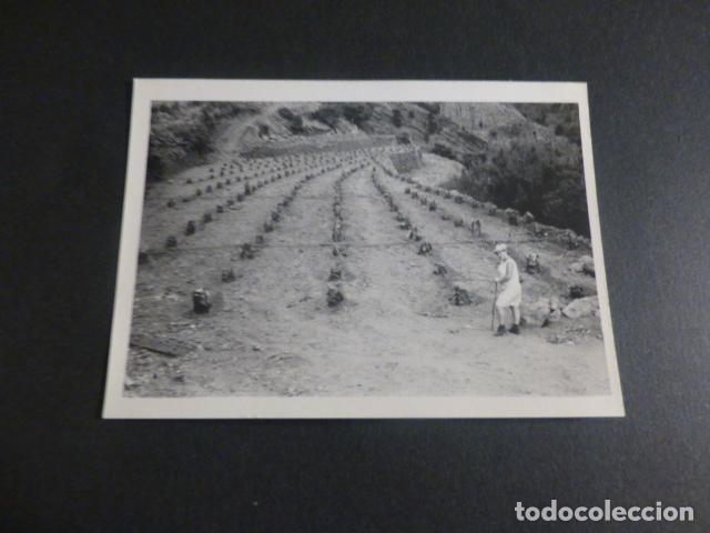 Fotografia antica: ISLA DE LA PALMA LAS ANGUSTIAS ANTIGUA FOTOGRAFIA 7,5 X 10,5 CMTS