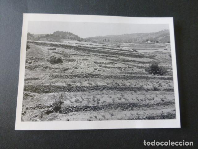 Fotografia antica: VILLAFLOR TENERIFE ANTIGUA FOTOGRAFIA 7,5 X 10,5 CMTS