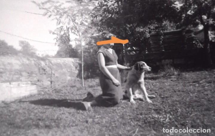 Fotograf&iacute;a antigua: Antiguo negativo. Clich&eacute; de fotograf&iacute;a. Chica y perro. Antigua.