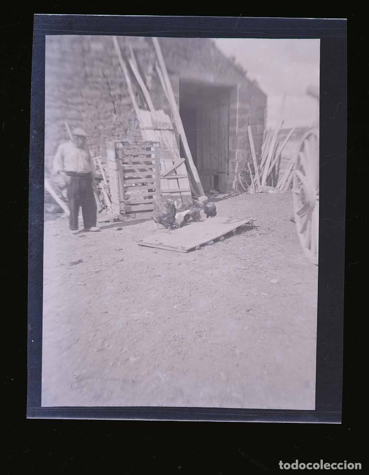 Antique Photography: LLEIDA. Pueblo. Gallinero. Turistas de verano. Lugar sin identificar. 1958
