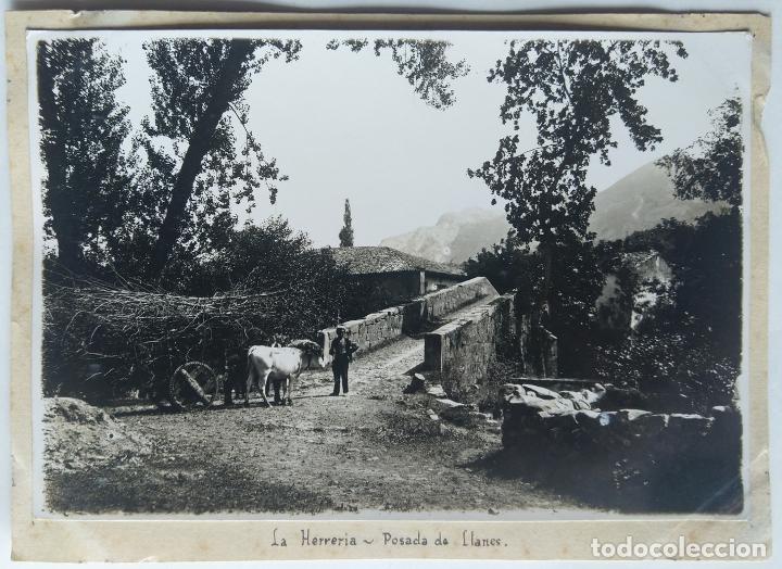 Fotograf&iacute;a antigua: POSADA DE LLANES LA HERRERIA ASTURIAS TAMA&Ntilde;O 11,5 X 17 CM