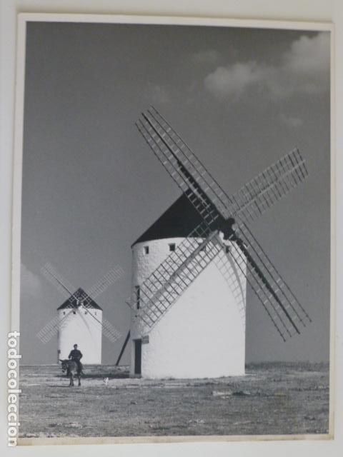 Fotografia antica: CAMPO DE CRIPTANA CIUDAD REAL MOLINOS DE VIENTO ANTIGUA FOTOGRAFIA 17 X 12,5 CMTS