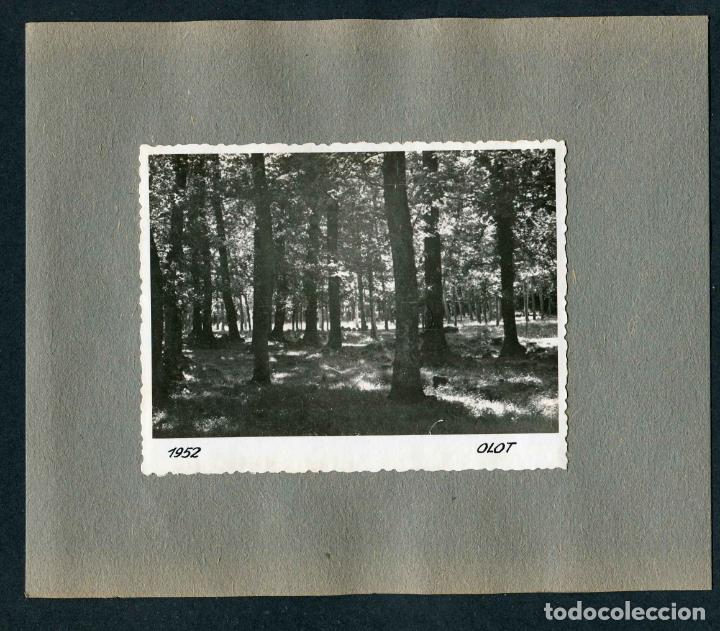 Fotograf&iacute;a antigua: GIRONA. OLOT. Puente. Edificio. 1952 - Foto 2