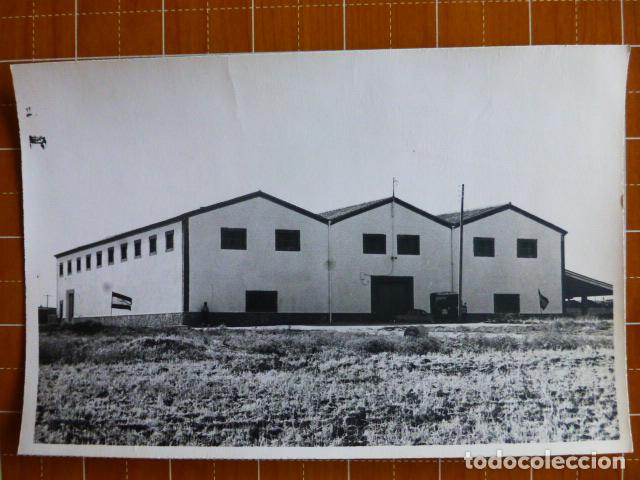 Fotografia antica: PROVINCIA DE MADRID BODEGAS GRUPO SINDICAL DE COLONIZACION INAUGURACI&Oacute;N FOTOGRAFIA 1965