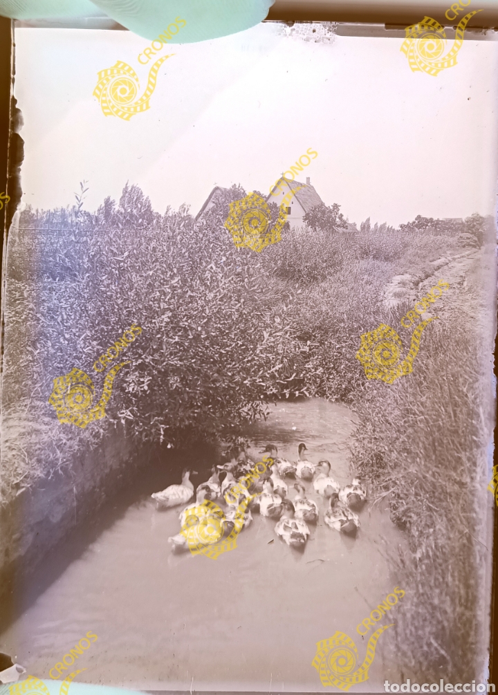 Antique Photography: Placa cristal gelatino-bromuro Valencia fot&oacute;grafo Jos&eacute; Mar&iacute;a Cabedo