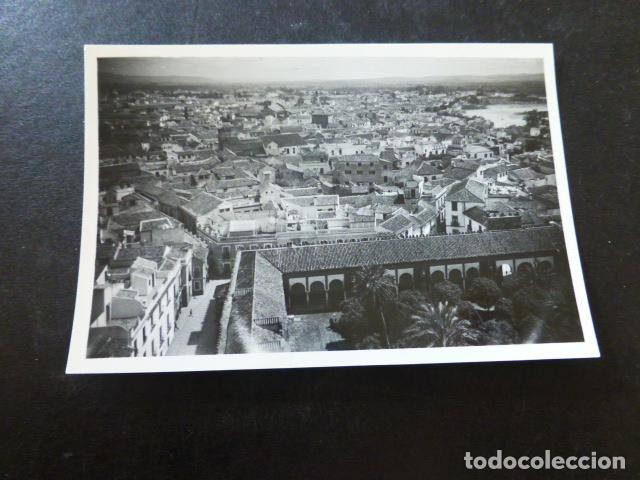 Fotografia antiga: CORDOBA VISTA DEL PATIO DE LOS NARANJOS DESDE TORRE CATEDRAL ANTIGUA FOTOGRAF&Iacute;A 6 X 9 CTMS