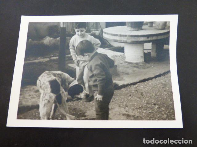 Fotograf&iacute;a antigua: NI&Ntilde;OS CON PERRO ANTIGUA FOTOGRAFIA 7,5 X 11 CMTS