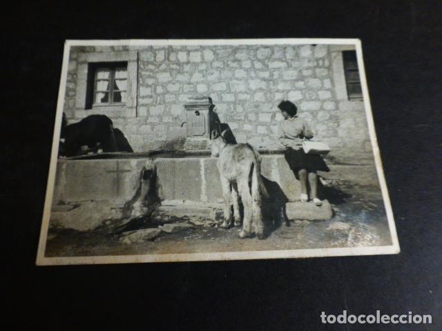 Fotograf&iacute;a antigua: FUENTE ABREVADERO CON BURROS ANTIGUA FOTOGRAFIA 10 X 7 CMTS