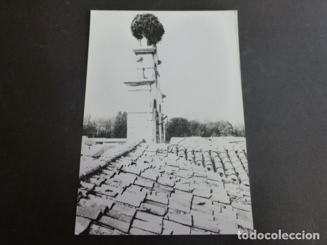 Alte Fotografie: GRADEFES LEON ANTIGUA FOTOGRAFIA 9 X 12,5 CMTS