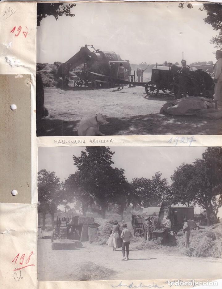 Fotograf&iacute;a antigua: Lote de 2 fotograf&iacute;as de maquinar&iacute;a agr&iacute;cola Andaluc&iacute;a a&ntilde;o 1927 . Felix Schlayer