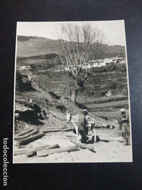 Photographie ancienne: TREVELEZ GRANADA ALPUJARRAS FOTOGRAFIA POR ROBERT GILLON PRESIDENTE SENADO BELGICA