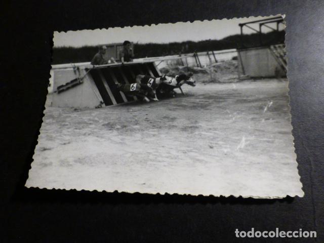 Photographie ancienne: PERROS EN CANODROMO COMPETICION ANTIGUA FOTOGRAFIA 7 X 10 CMTS