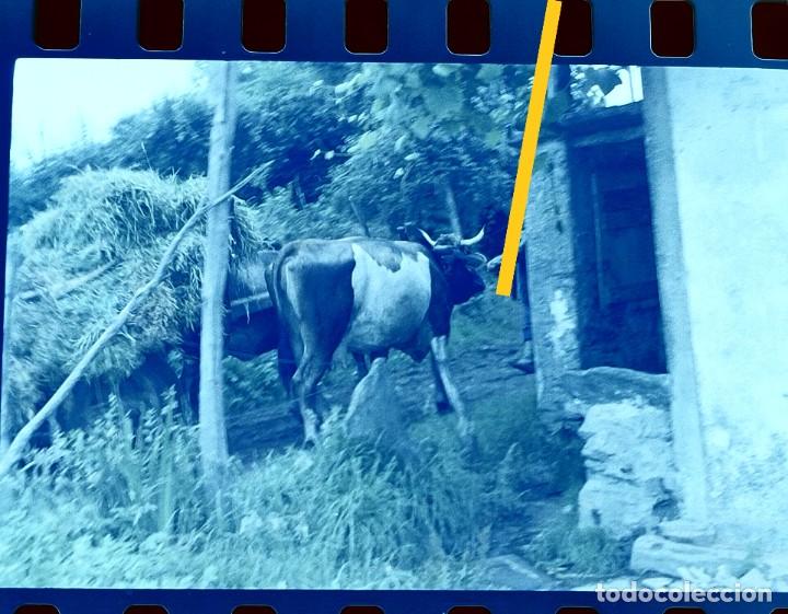 Photographie ancienne: Antiguo negativo o clich&eacute; de fotograf&iacute;a. Galicia. A&ntilde;os 60/70.