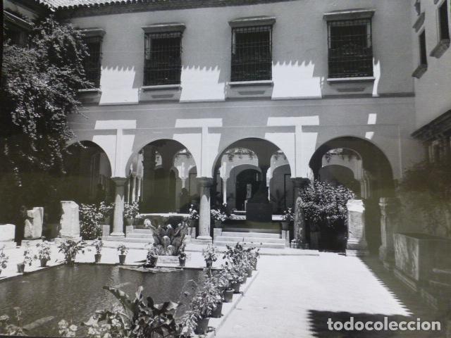 Fotografia antica: CORDOBA MUSEO ARQUEOLOGICO ANTIGUA FOTOGRAFIA 18 X 24 CMTS
