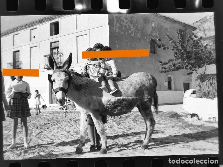 Antique Photography: Antiguo negativo de fotograf&iacute;a. Ni&ntilde;os montados en el borrico. A&ntilde;os 50/60.