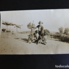 Fotografía antigua: VILLA DE PRADO MADRID CAZADOR FAMILIA REGUILON HACIA 1910 FOTOGRAFIA 9,5 X 14,5 CMTS. Lote 341567088