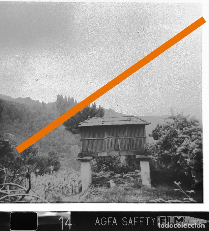 Alte Fotografie: Antiguo negativo o clich&eacute; de fotograf&iacute;a. H&oacute;rreo gallego. Galicia. A&ntilde;os 60.