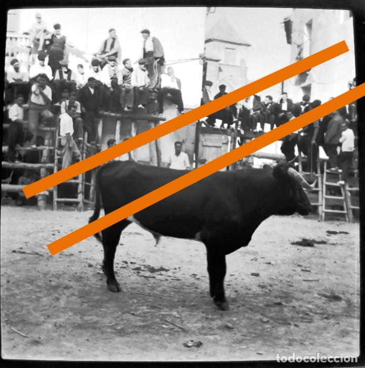 Antique Photography: Antiguo negativo o clich&eacute; de fotograf&iacute;a. Caudiel. Castell&oacute;n. toros en la calle. A&ntilde;os 50.