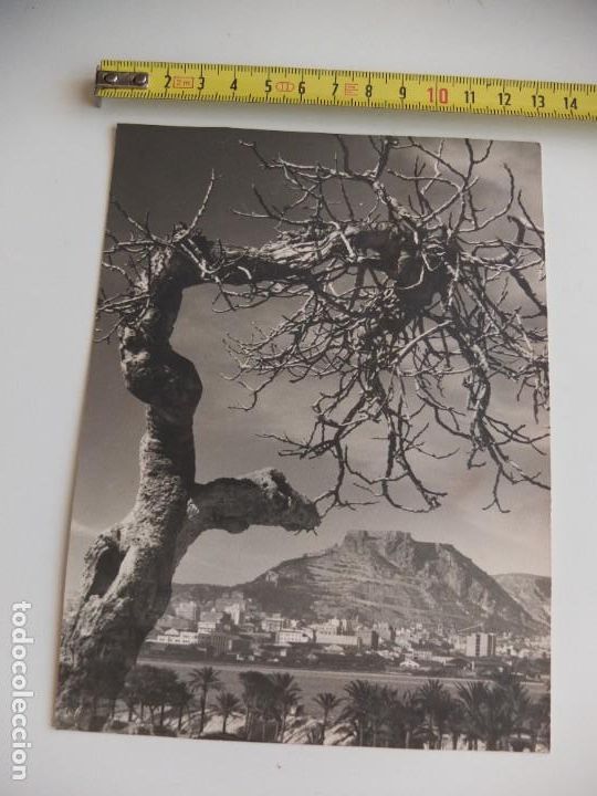 Alte Fotografie: Foto al bromuro de Alicante a&ntilde;os 60.