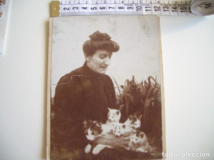 Fotograf&iacute;a antigua: Bromuro virado a sepia de mujer con gatitos