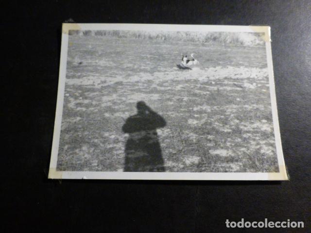 Fotograf&iacute;a antigua: PERRO JUGANDO EN EL CAMPO ANTIGUA FOTOGRAFIA 7,5 X 10,5 CMTS