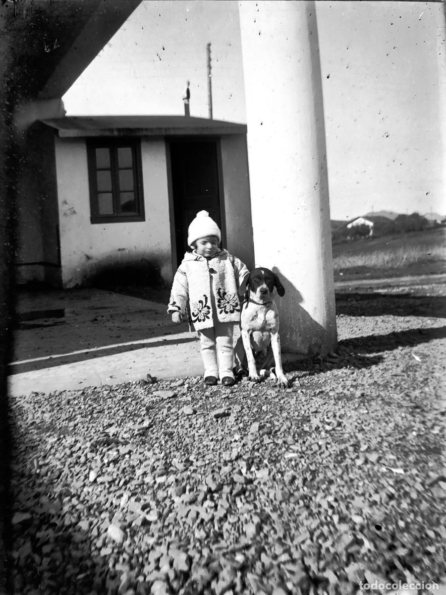 Fotografia antiga: Antiguo negativo de fotograf&iacute;a. Ni&ntilde;o con el perro. Antigua.