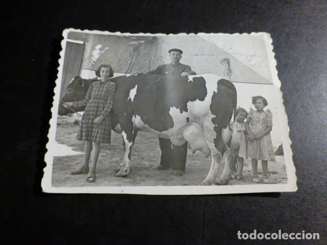 Fotograf&iacute;a antigua: DAIMIEL CIUDAD REAL GANADERO CON VACA E HIJAS ANTIGUA FOTOGRAFIA 6 X 8 CMTS