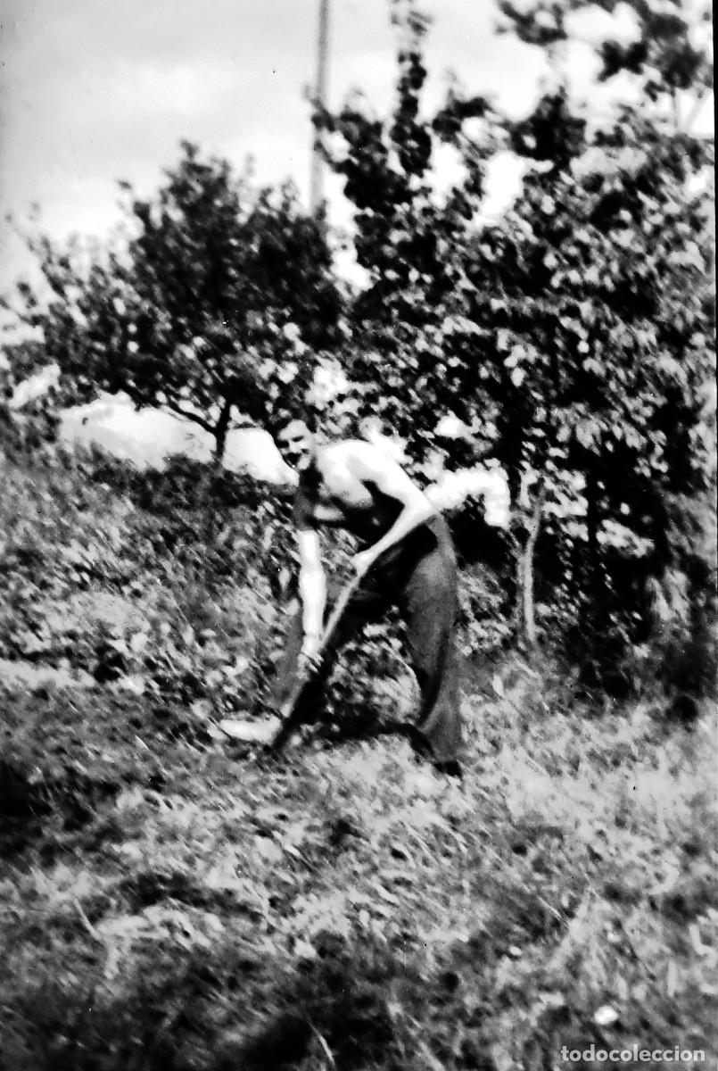 Fotografia antica: Antiguo negativo de fotograf&iacute;a. Chico. Antigua.