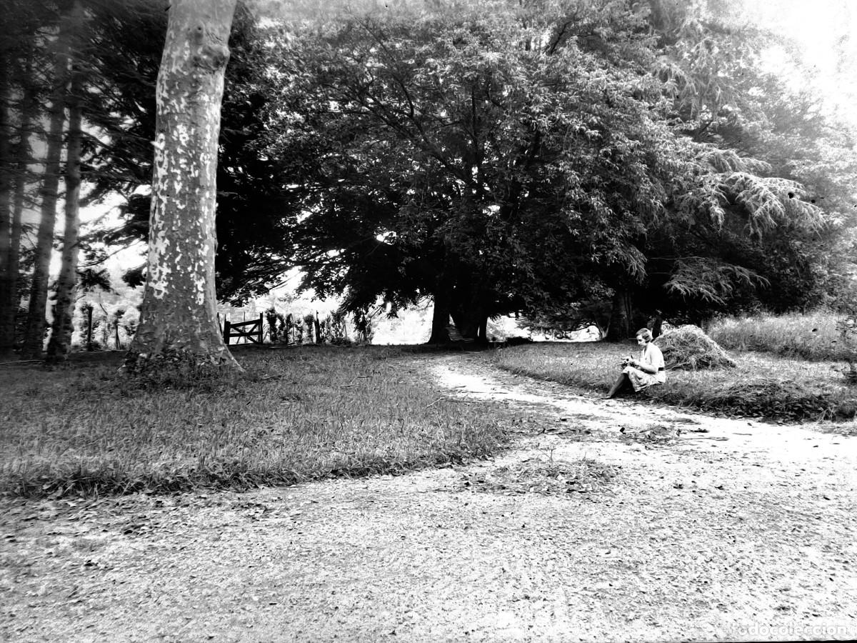 Photographie ancienne: Antiguo negativo de fotograf&iacute;a. Cristal. Se&ntilde;orita, en el campo. Antigua.