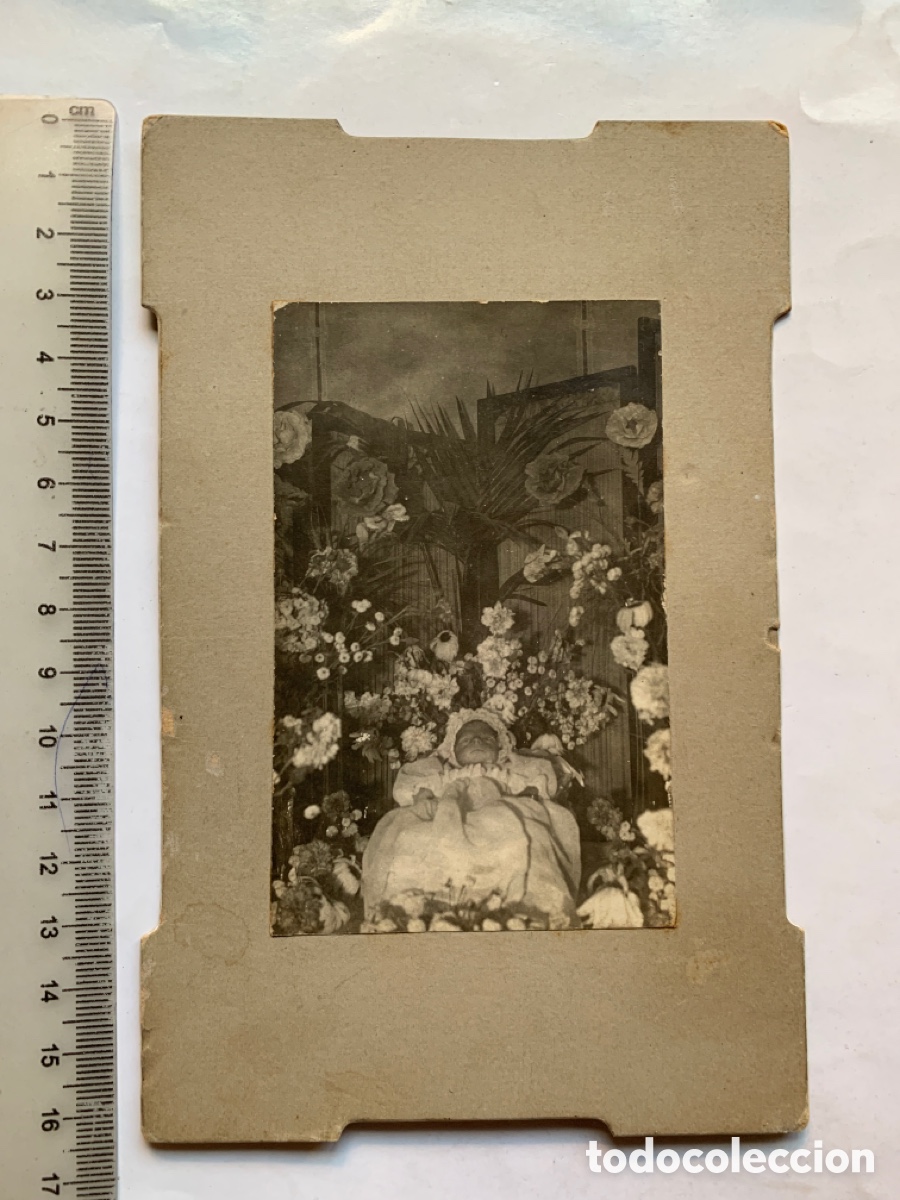 Fotograf&iacute;a antigua: FOTO POSTMORTEM. ANGELITO RODEADO DE FLORES. FOT&Oacute;GRAFO?.