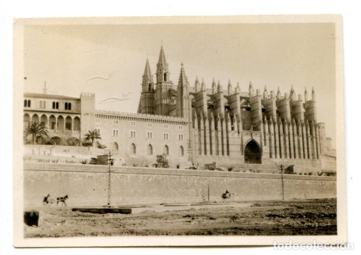 Fotografia antiga: Catedral de Palma de Mallorca, Foto Guillermo Sagrera, papel velox 8,5x6 cm, a&ntilde;os 20