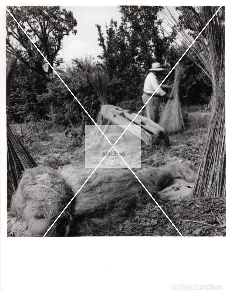 Antique Photography: PROVINCIA DE CASTELLON EN EL RECUERDO ANTIGUOS OFICIOS EL CA&Ntilde;AMO FOTOGRAFIA ORIGINAL TAMA&Ntilde;O 10X10