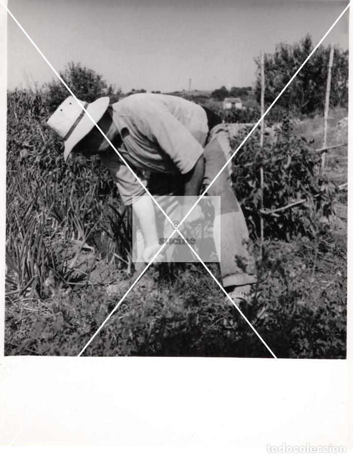 Antique Photography: PROVINCIA DE CASTELLON EN EL RECUERDO ANTIGUOS OFICIOS FOTOGRAFIA ORIGINAL TAMA&Ntilde;O 10X10