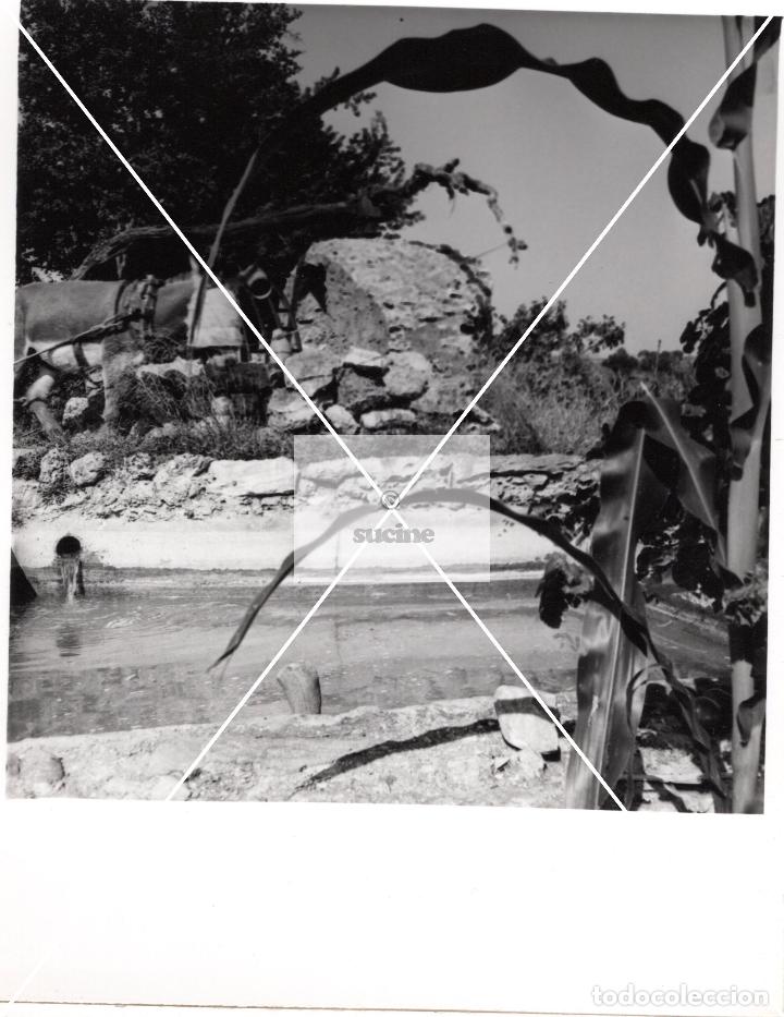 Antique Photography: PROVINCIA DE CASTELLON EN EL RECUERDO ANTIGUOS OFICIOS LA NORIA FOTOGRAFIA ORIGINAL TAMA&Ntilde;O 10X10