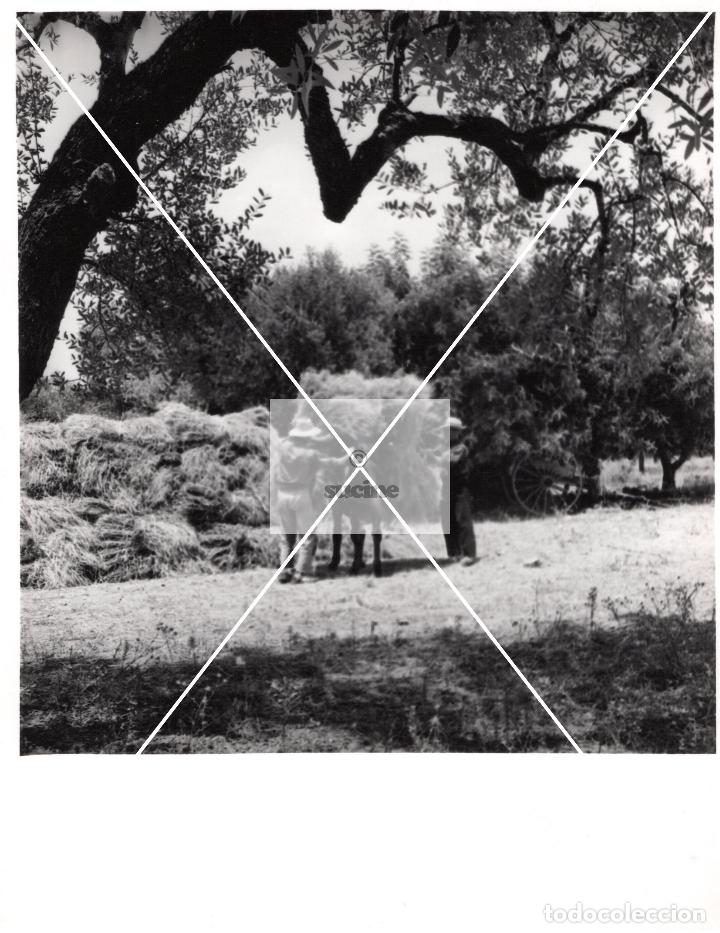 Antique Photography: PROVINCIA DE CASTELLON EN EL RECUERDO ANTIGUOS OFICIOS FOTOGRAFIA ORIGINAL TAMA&Ntilde;O 10X10