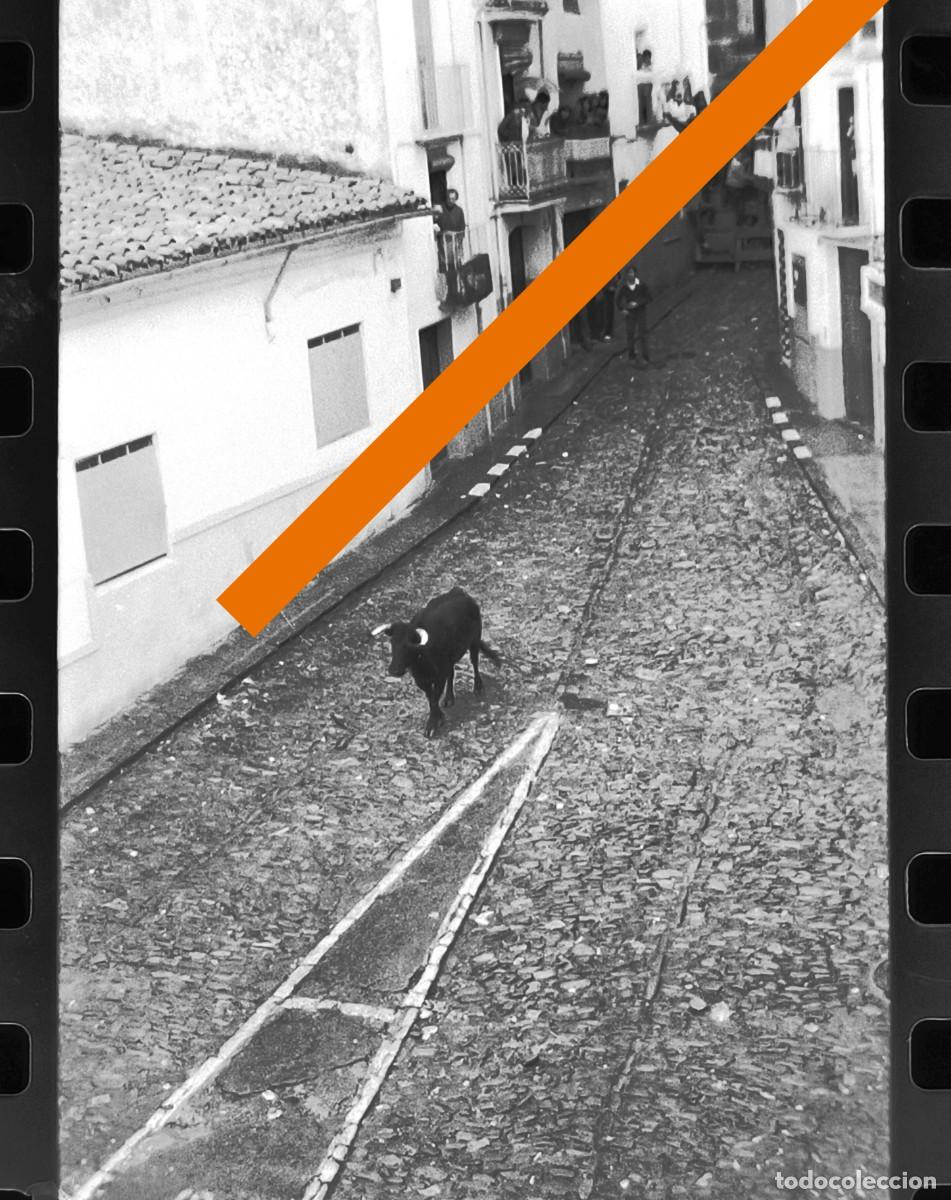 Alte Fotografie: Antiguo negativo o clich&eacute; de fotograf&iacute;a. Onda. Castell&oacute;n. Bous al carrer. A&ntilde;os 70.